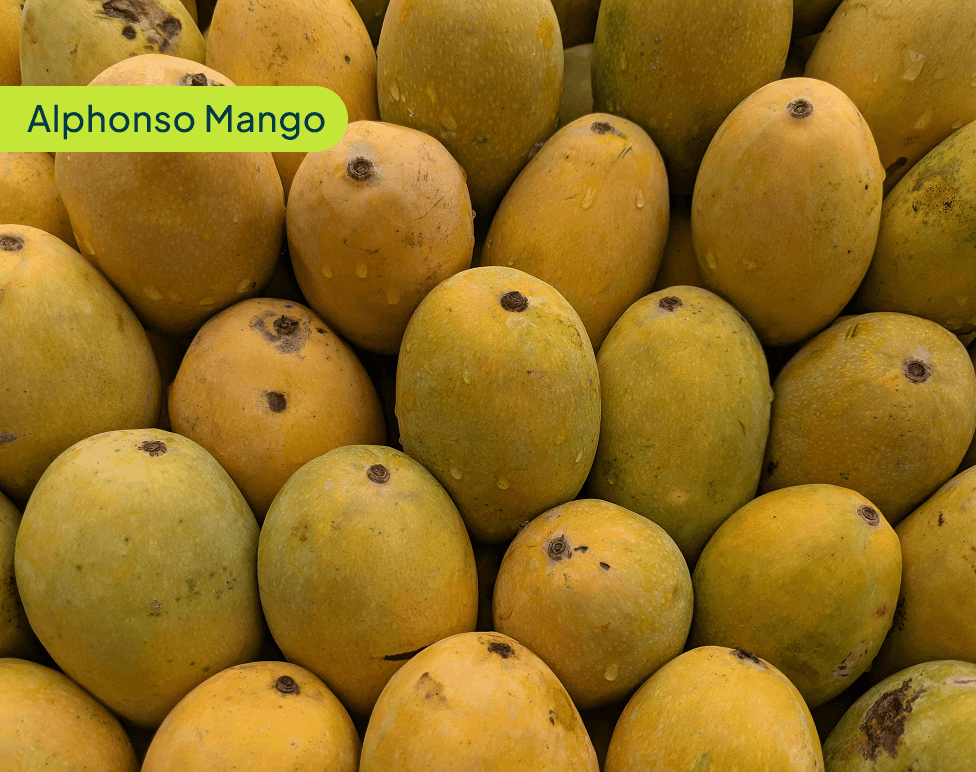 Alphonso Mango