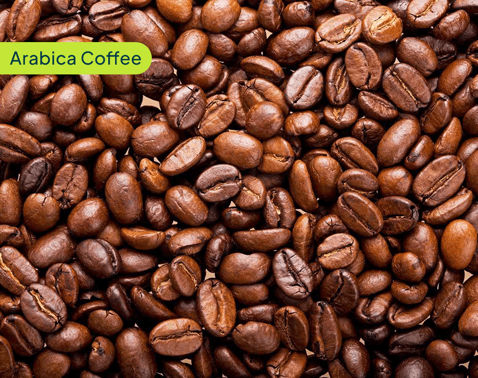 Arabica Coffee
