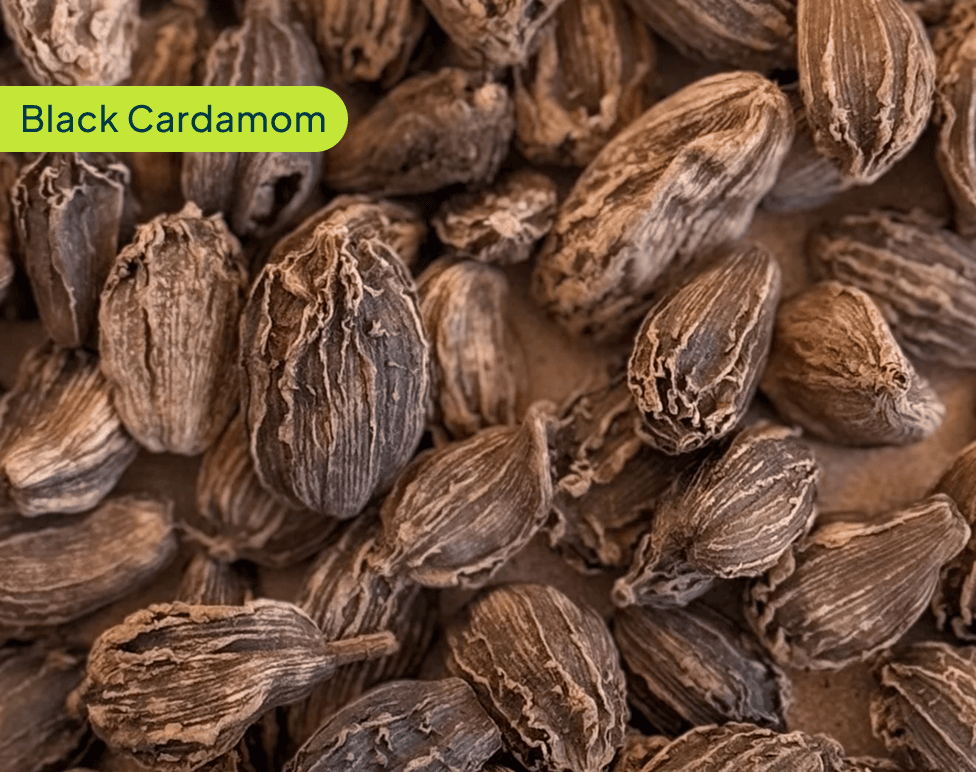 Black Cardamom