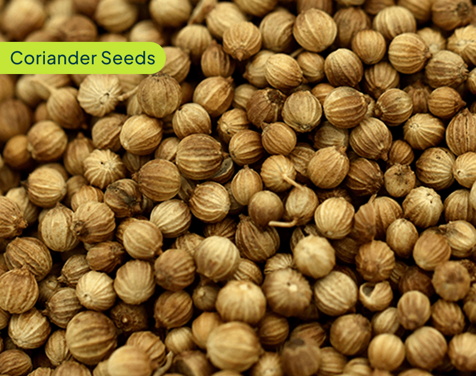 Coriander Seeds