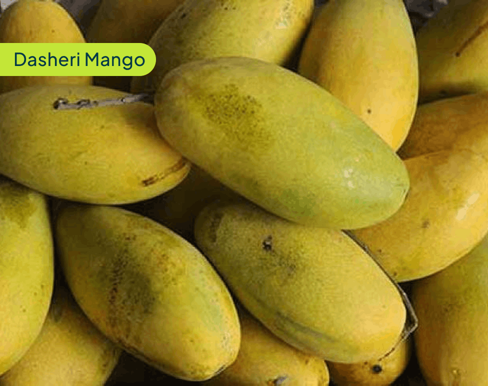 Dasheri Mango