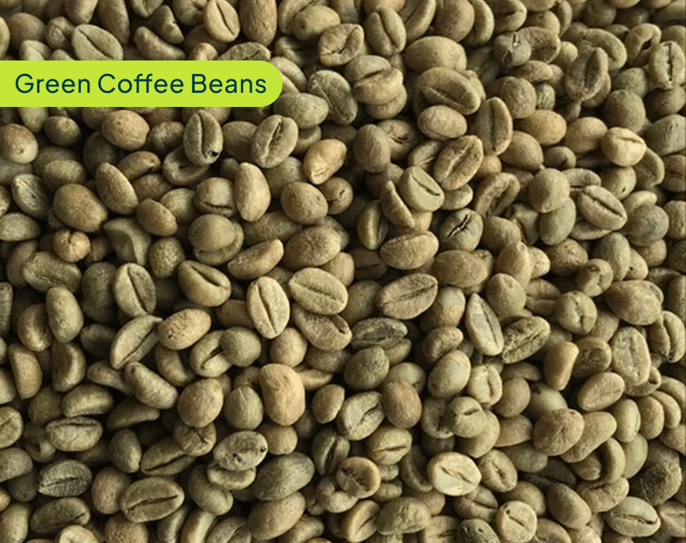Green Coffee Beans