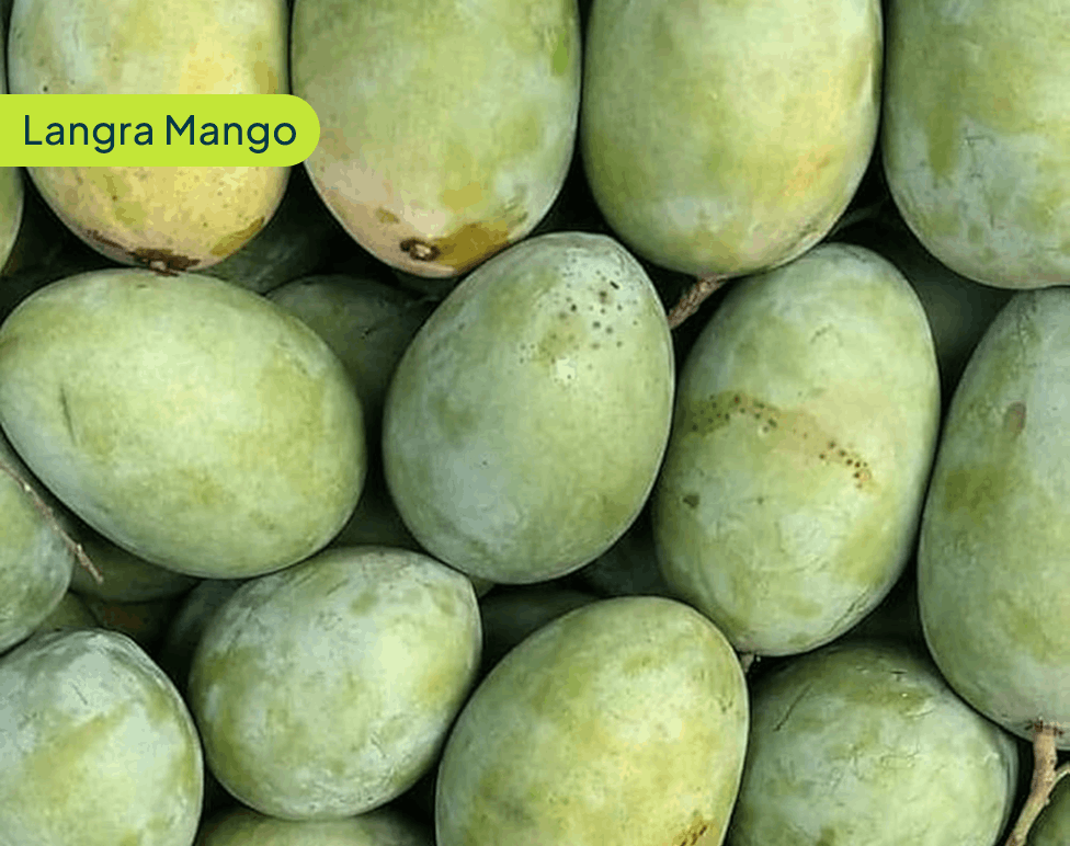 Langra Mango