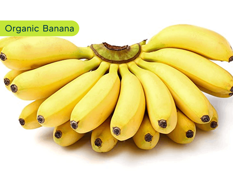 Organic Banana