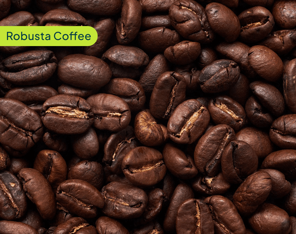 Robusta Coffee