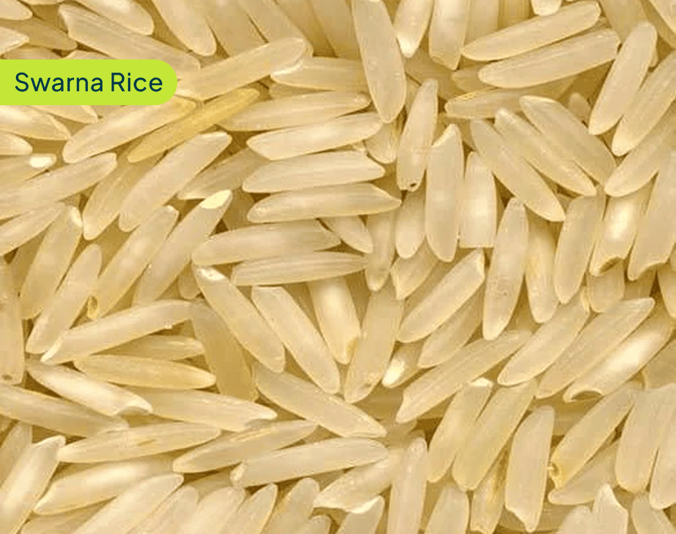 Swarna Rice