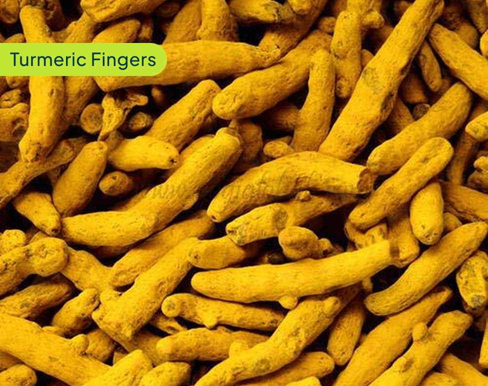 Turmeric Fingers