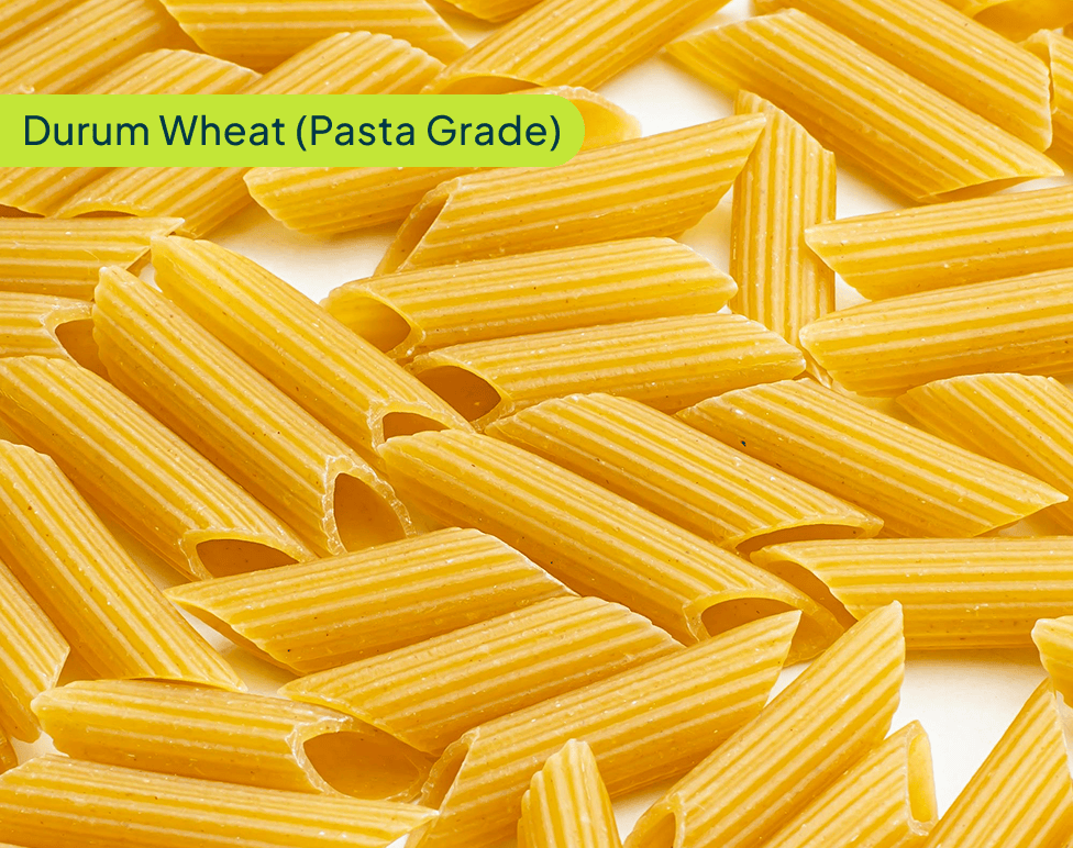 durum-wheat