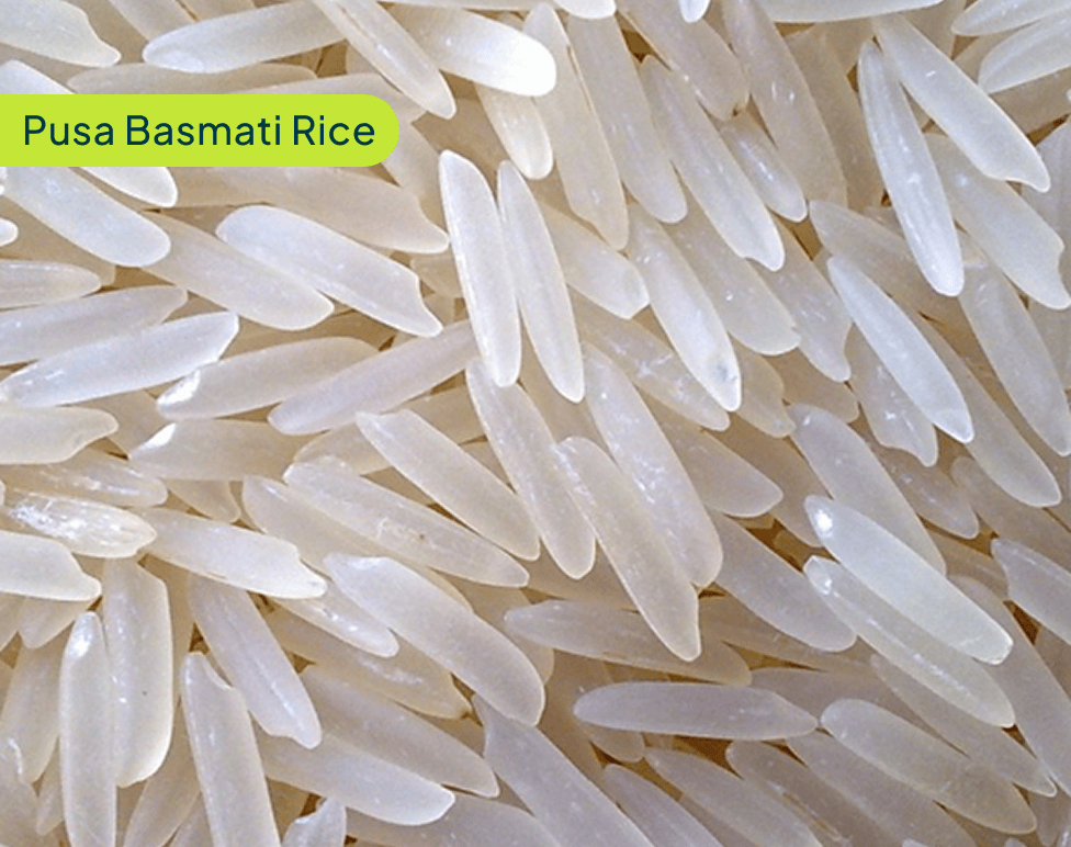 pusa-basmati-rice