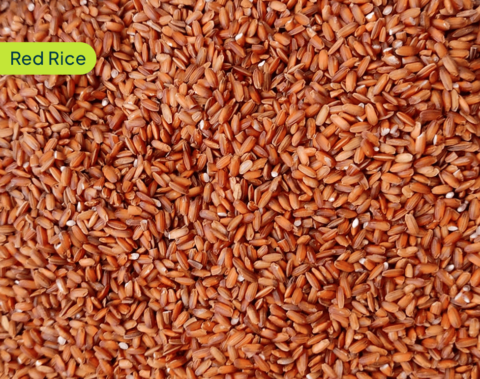 red-rice