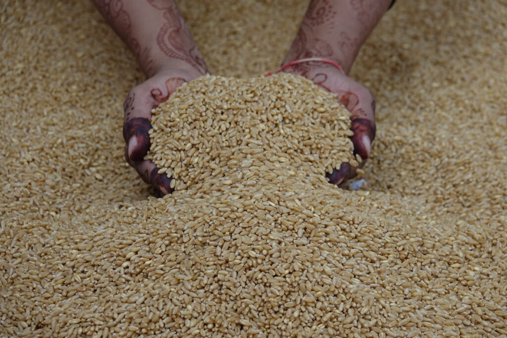 Top Rice Exporting Companies in India